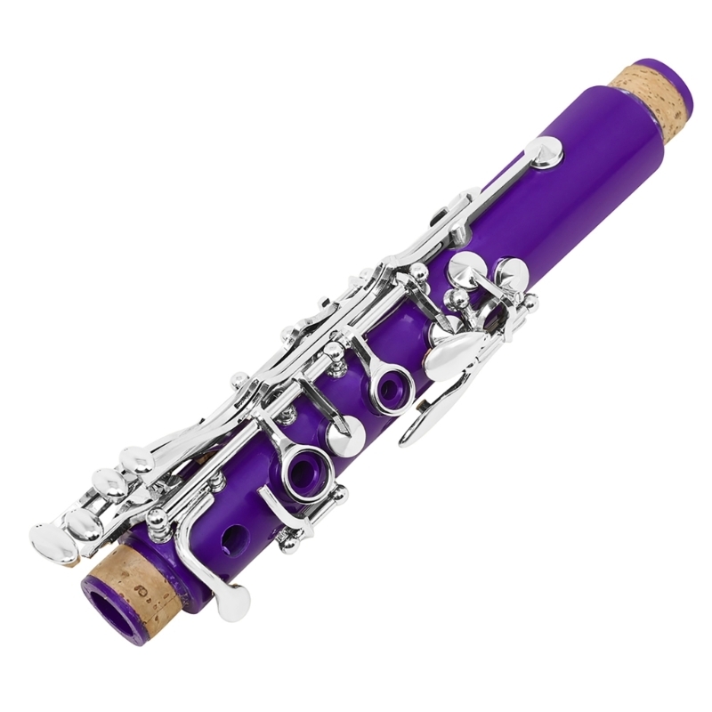 Musical Instrument In Orchestra - 17 toetsen student plastic klarinet instrumentenset