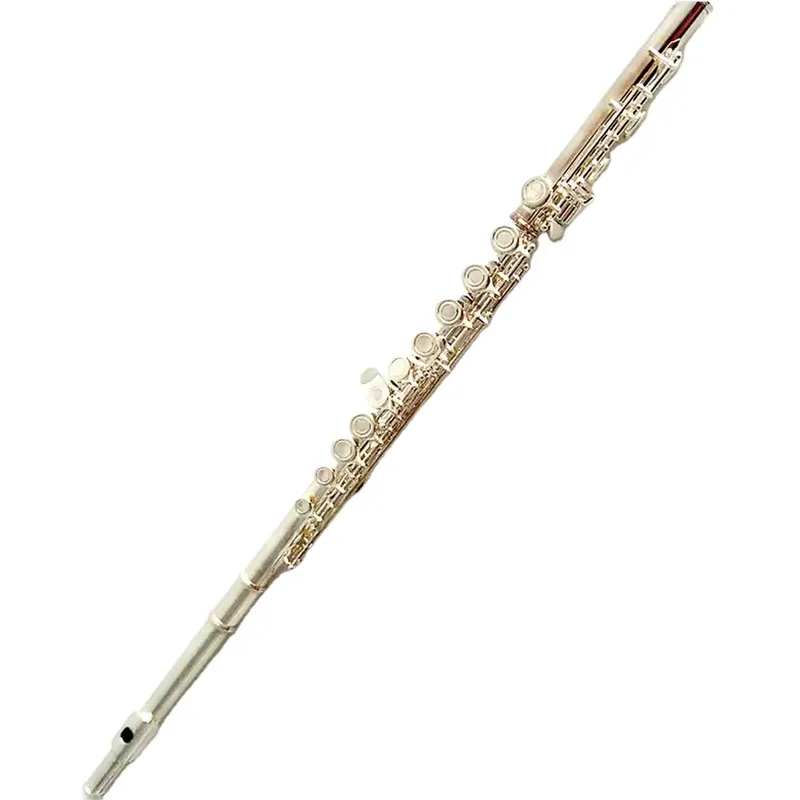 Musical Instrument In Orchestra - 16 17-holes verzilverde fluit met open