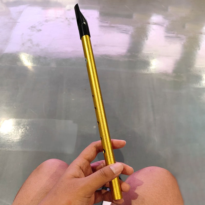 Tin Whistle Flute - 6-gaats Penny Whistle Student Professioneel speelinstrument
