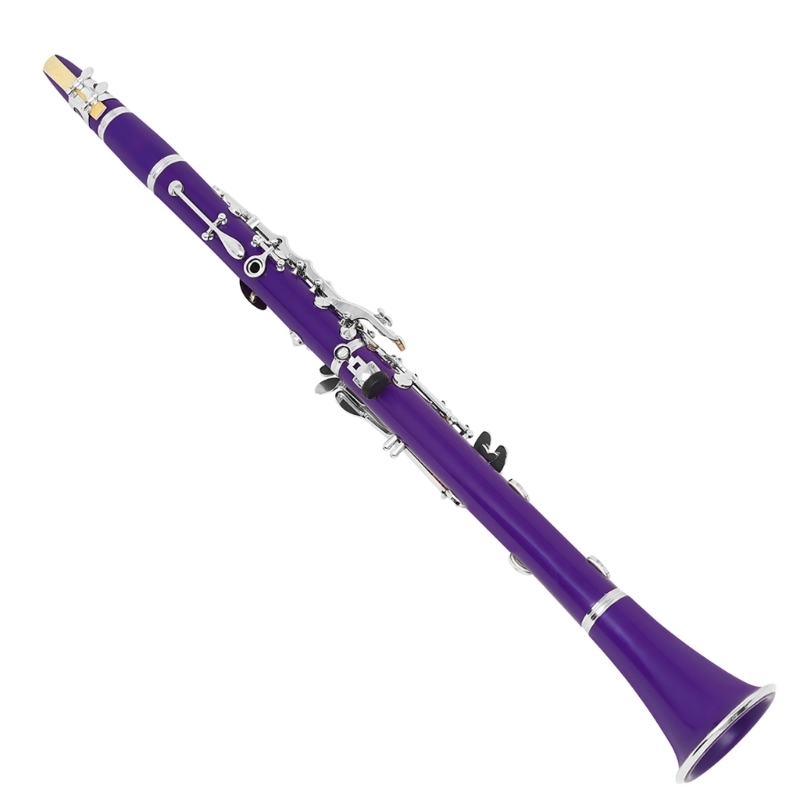 17 toetsen student plastic kla - Musical Instrument In Orchestra recensie en prijs