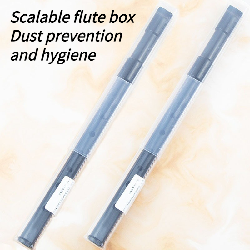 6-gaats hars blikken fluitje D - Tin Whistle Flute recensie en prijs