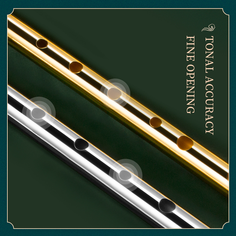 Ierse fluitfluit voor muziekin - Tin Whistle Flute recensie en prijs