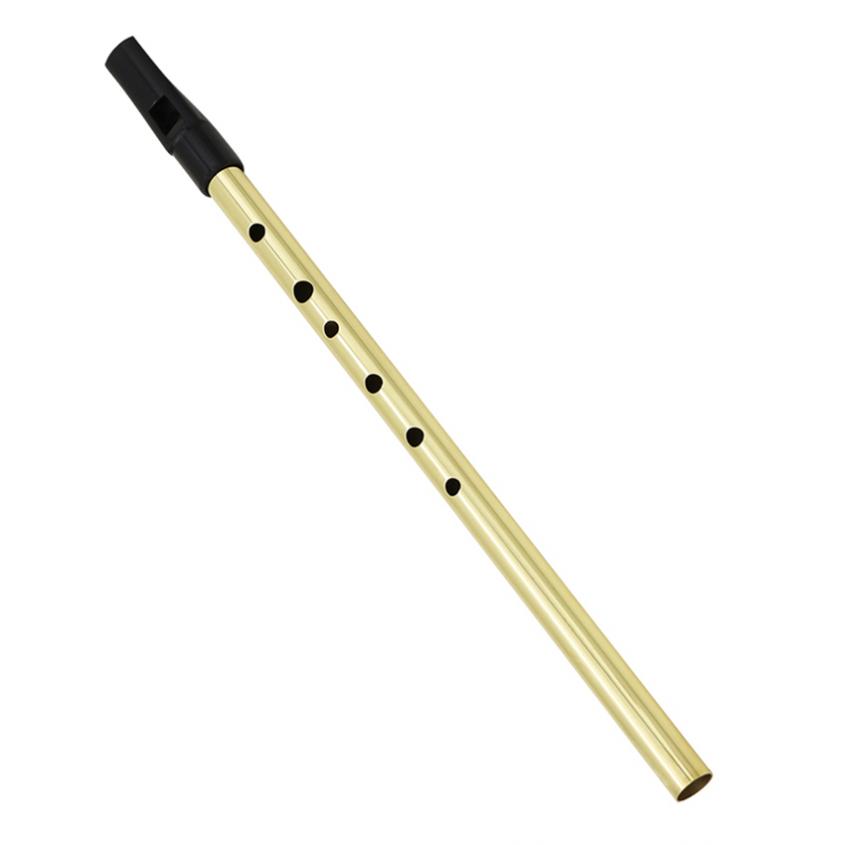 Ierse Fluitje Sopraan Fluit D  - Tin Whistle Flute recensie en prijs