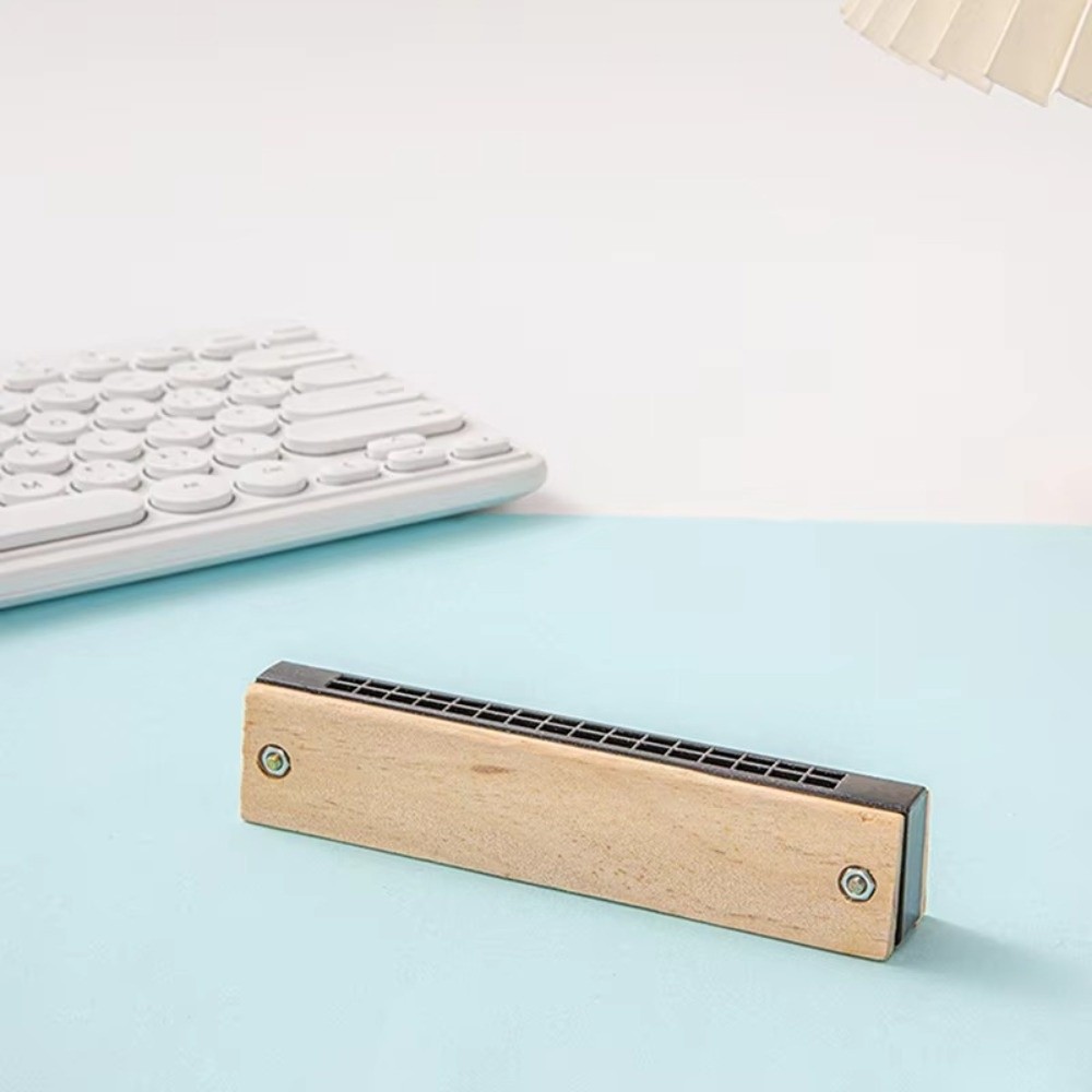 Creatieve DIY Kleine mondharmo - Musical Instrument Melodica recensie en prijs