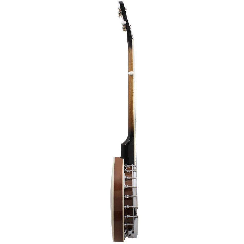 5-snarige banjo westerse profe - Musical Instrument Qin recensie en prijs