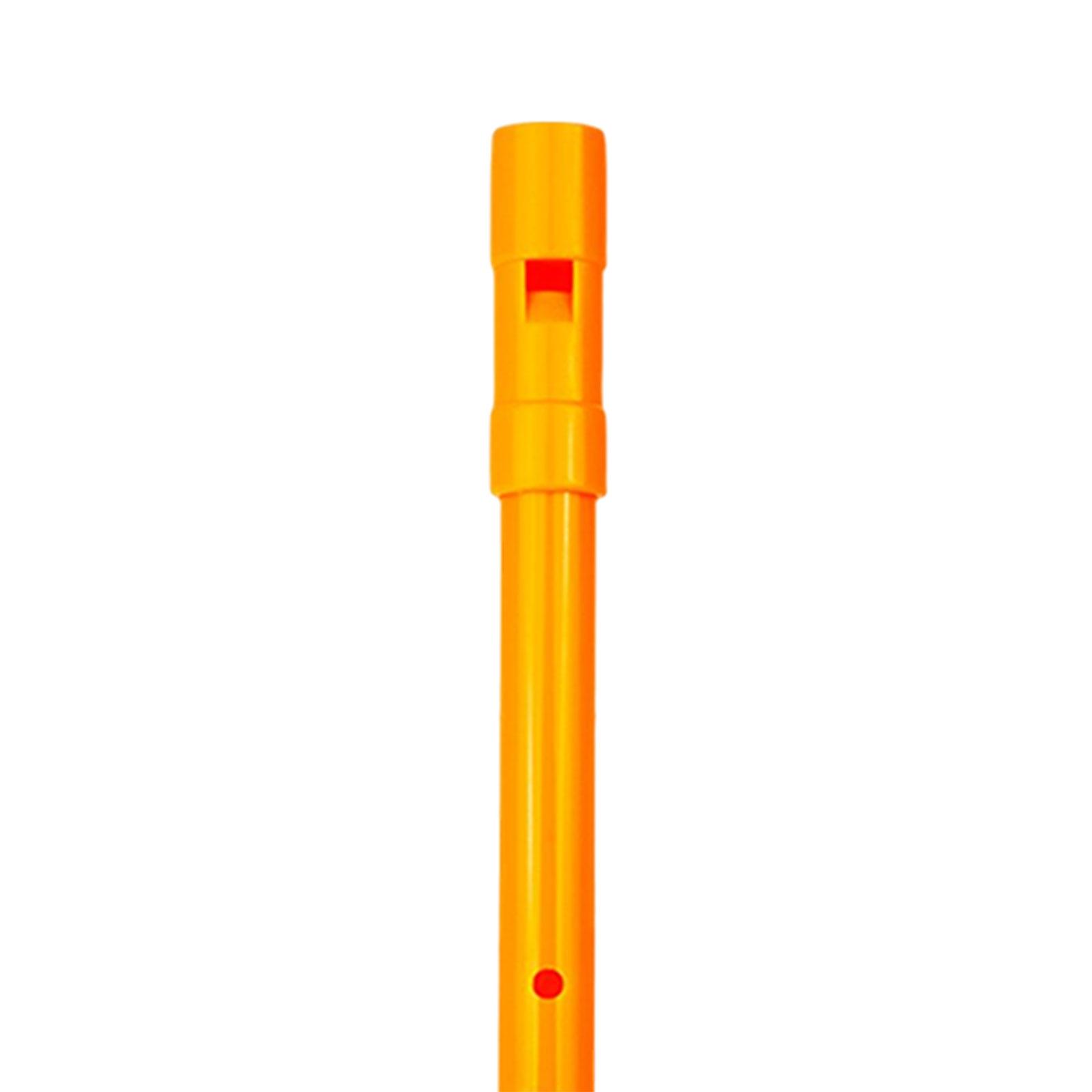 Traditionele D Tin Whistle Beg - Tin Whistle Flute recensie en prijs