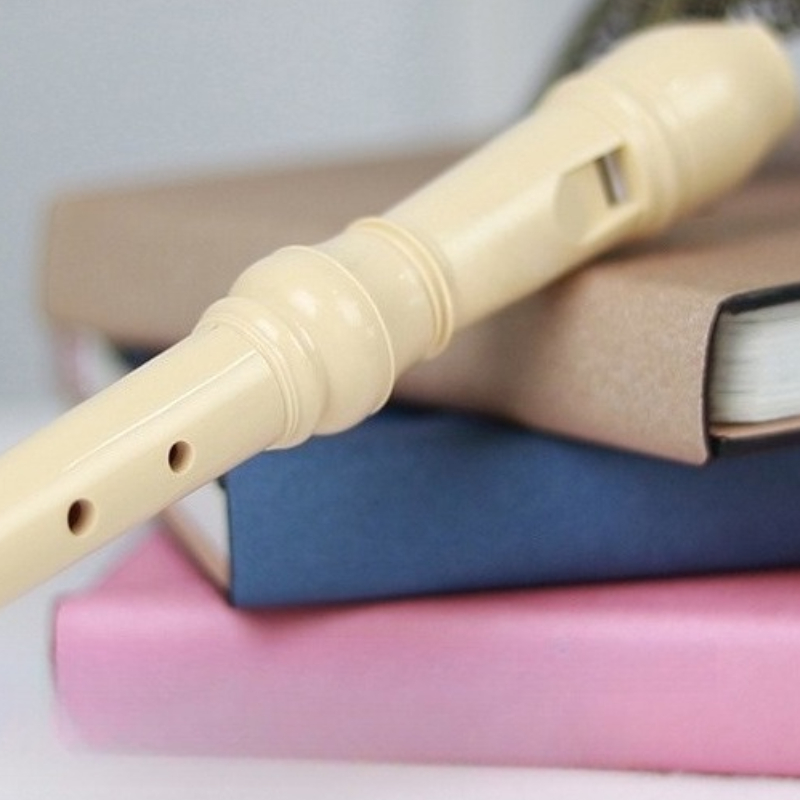 C Tone Recorder Duitse Hoge 6  - Musical Instrument German recensie en prijs