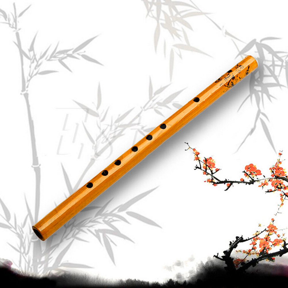 1Pc Chinese Traditionele 6 Gat - Tin Whistle Flute recensie en prijs
