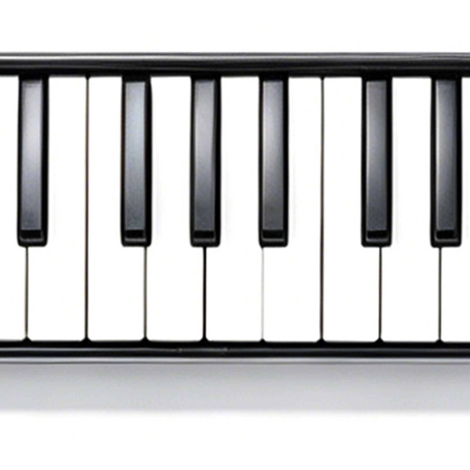 Melodica Instrument 32-Key Dra - Musical Instrument Long recensie en prijs