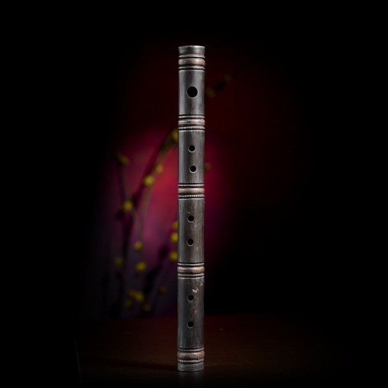 Handgemaakte dwarse fluit Begi - Tin Whistle Flute recensie en prijs