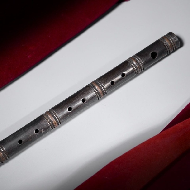 Handgemaakte dwarse fluit Begi - Tin Whistle Flute recensie en prijs
