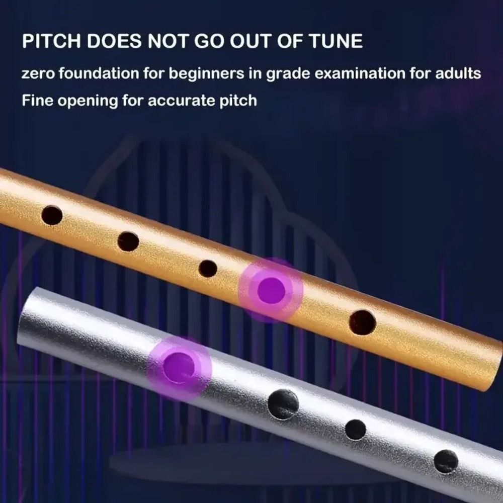C/D Sleutel Ierse Fluit 6 Gate - Musical Instrument Easy To Learn recensie en prijs