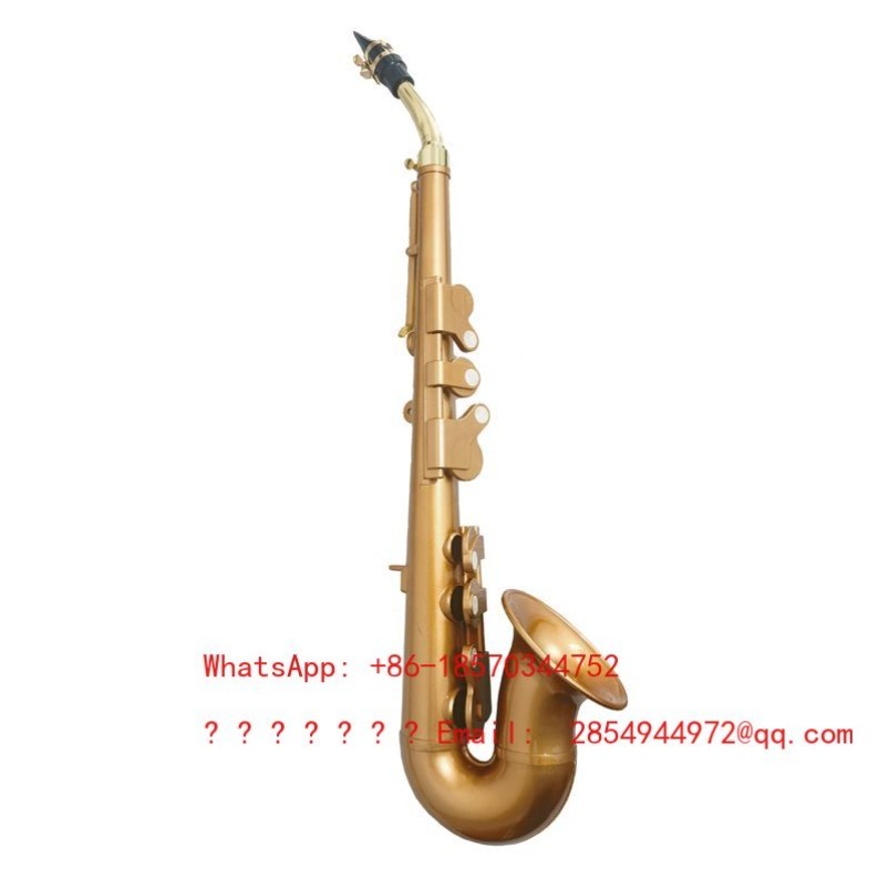 Hars-saxofoon muziekinstrument - Musical Instrument Easy To Learn recensie en prijs