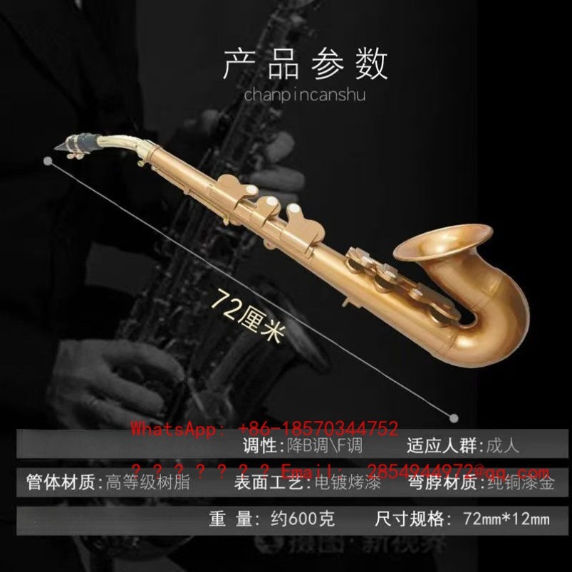 Hars-saxofoon muziekinstrument - Musical Instrument Easy To Learn recensie en prijs