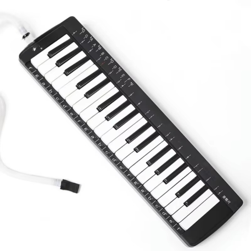 37-toetsen professionele Melod - Musical Instrument Melodica recensie en prijs