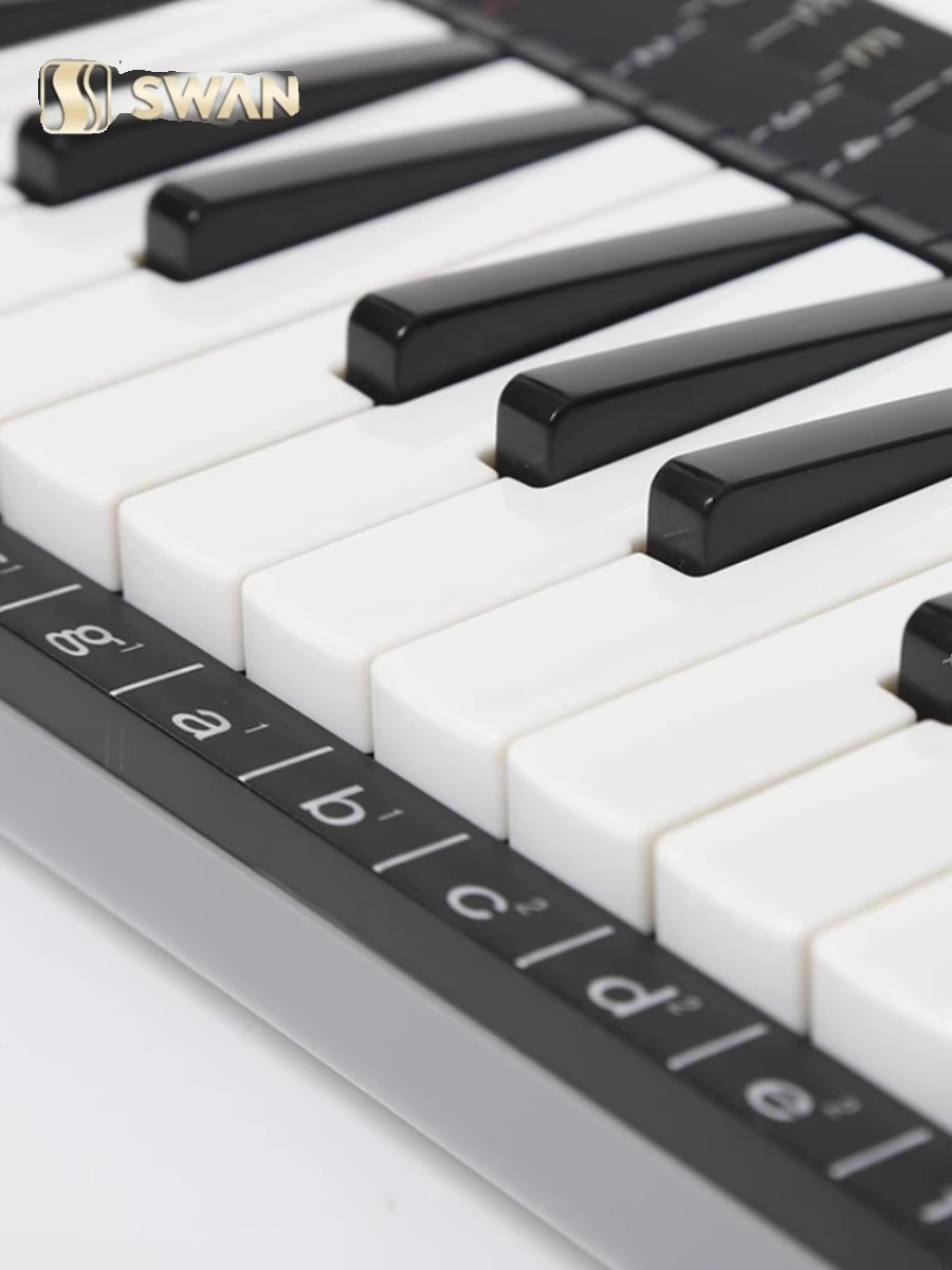 37-toetsen professionele Melod - Musical Instrument Melodica recensie en prijs