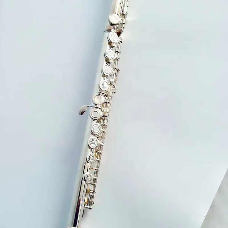 16 17-holes verzilverde fluit  - Musical Instrument In Orchestra recensie en prijs