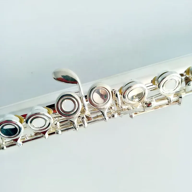16 17-holes verzilverde fluit  - Musical Instrument In Orchestra recensie en prijs