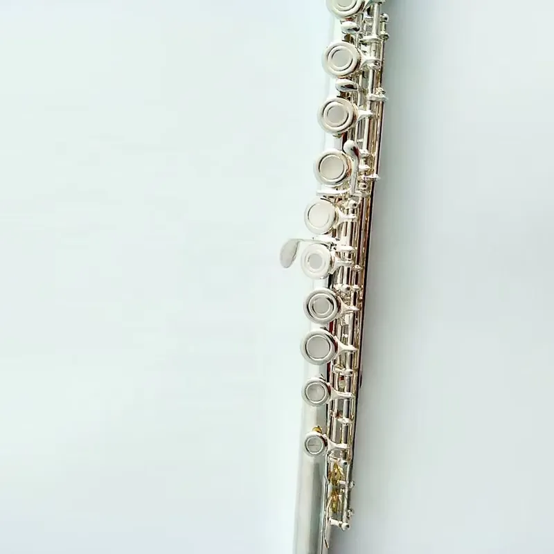 16 17-holes verzilverde fluit  - Musical Instrument In Orchestra recensie en prijs