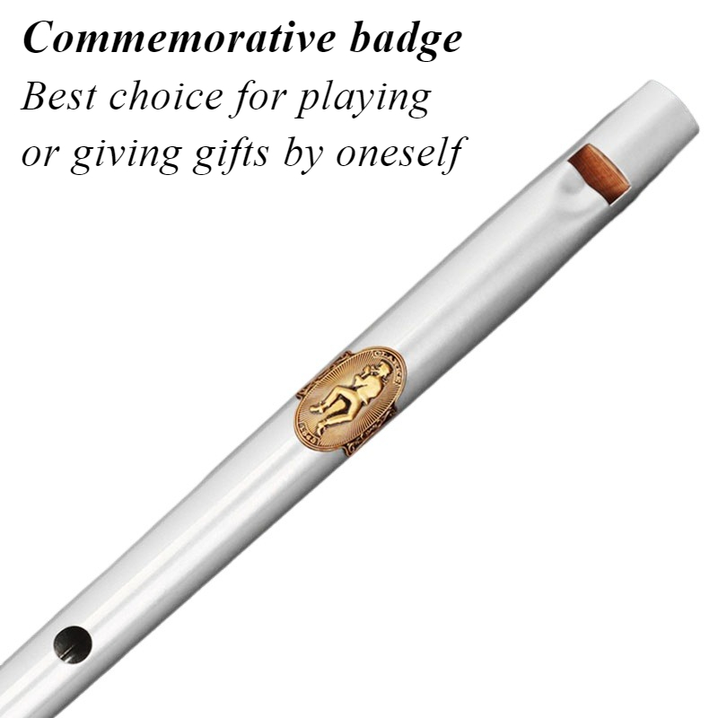 D/C Key Tin Whistle Student Be - Tin Whistle Flute recensie en prijs