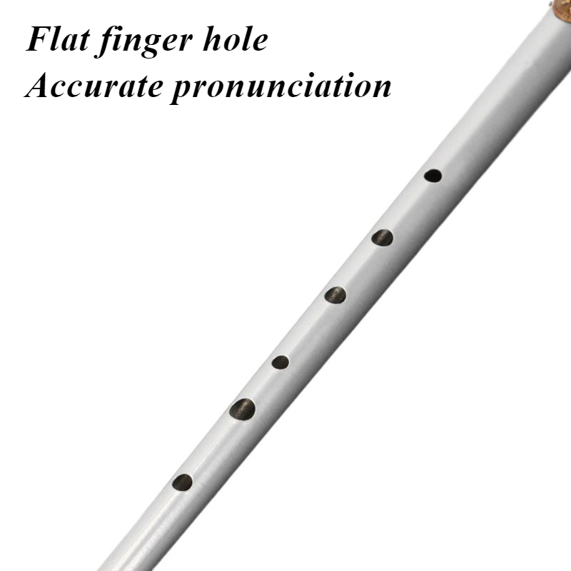 D/C Key Tin Whistle Student Be - Tin Whistle Flute recensie en prijs